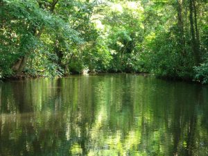 tortuguero-costa-rica